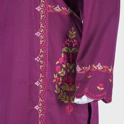 02 PCS Embroidered winter cotton suit (KRAFT KURTA-02)